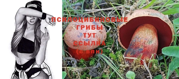 мескалин Мегион
