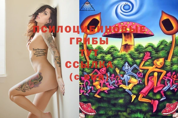 мескалин Мегион