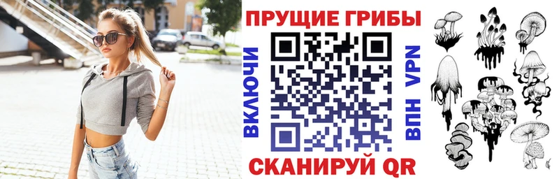 наркотики  Шиханы  mega ТОР  Псилоцибиновые грибы Psilocybe 