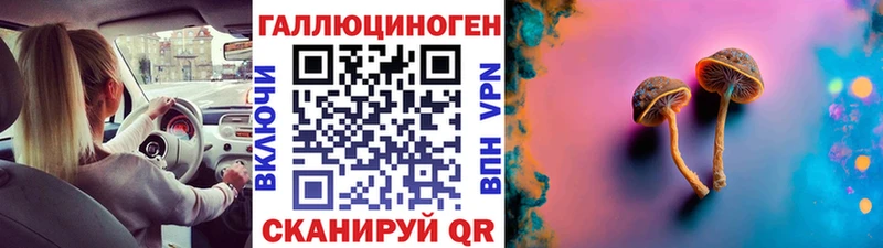 Псилоцибиновые грибы Psilocybine cubensis Шиханы